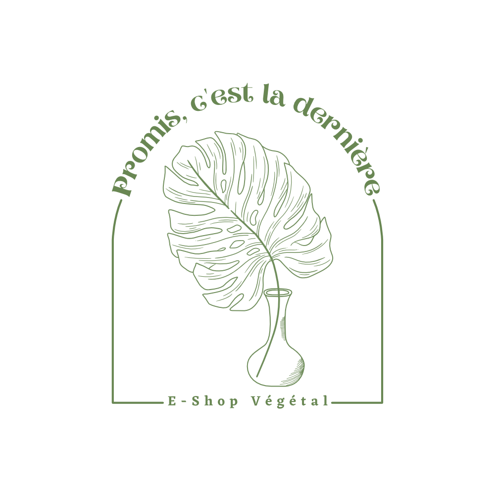 Promis c'est la Dernière