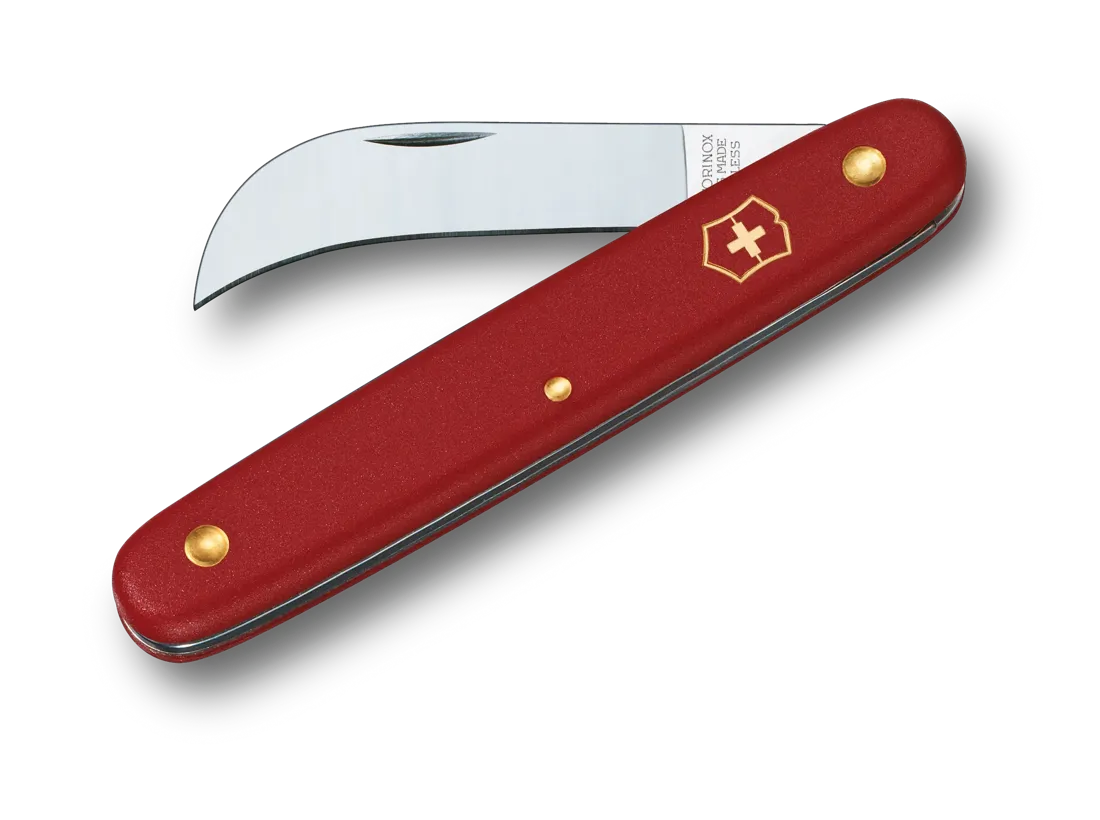 Victorinox greffoire 1 lame