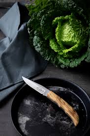 f dick couteau pliable