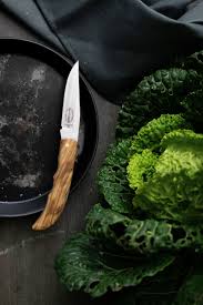 f dick couteau pliable