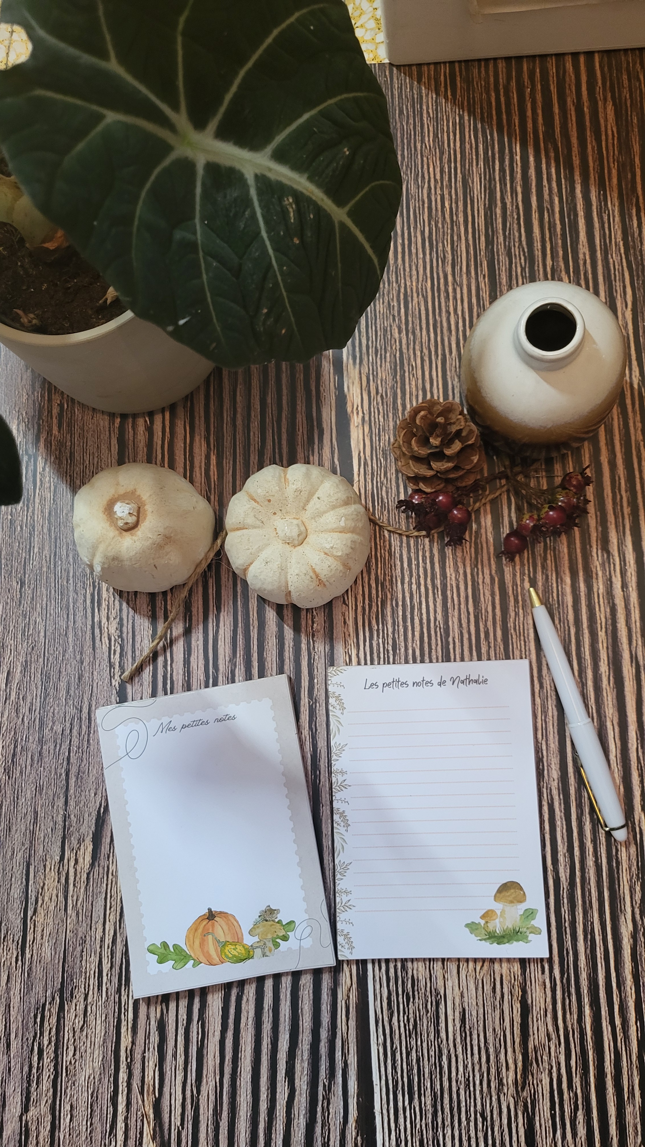 Bloc-notes souris et citrouilles