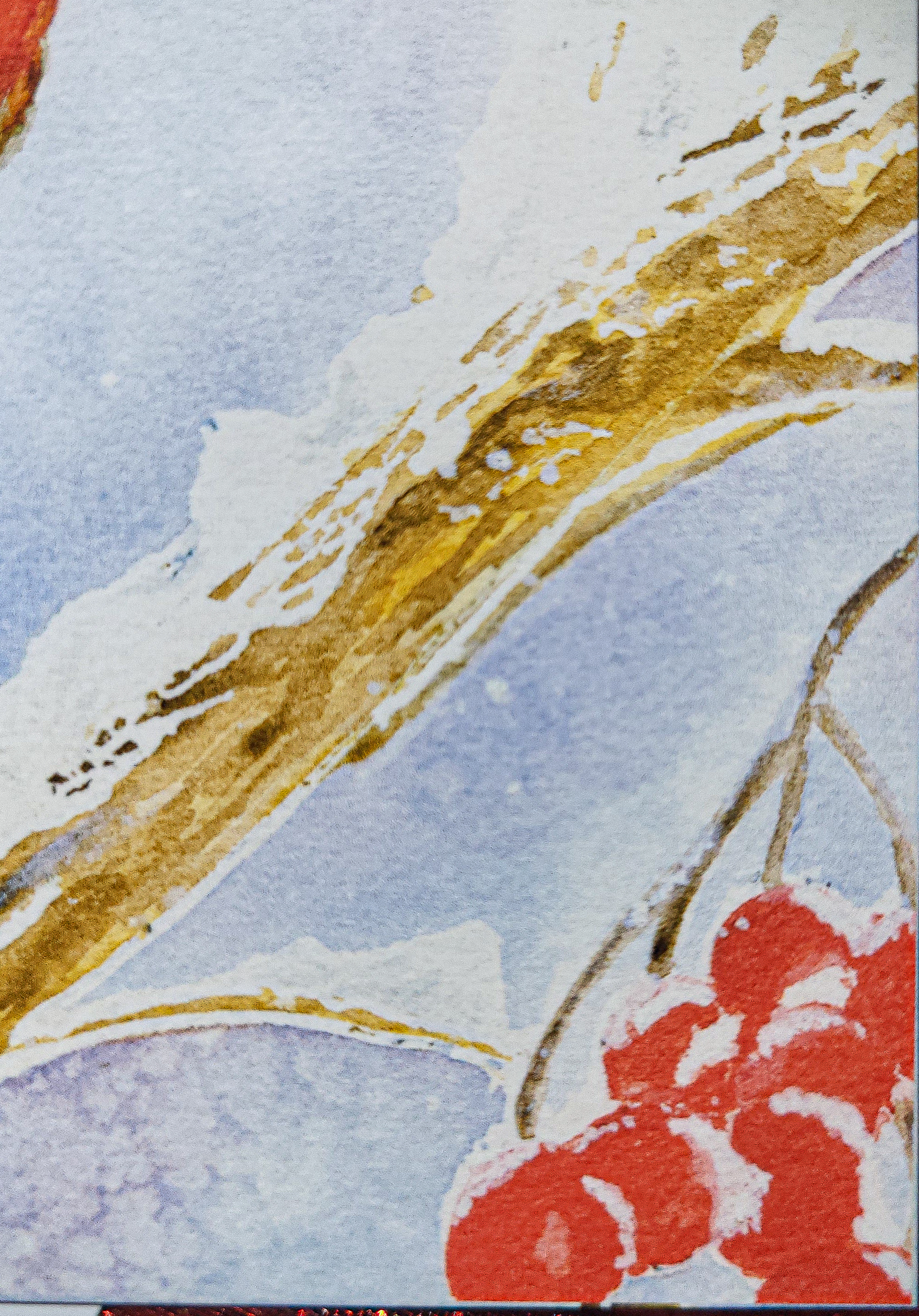 Affiche Rouge-Gorge