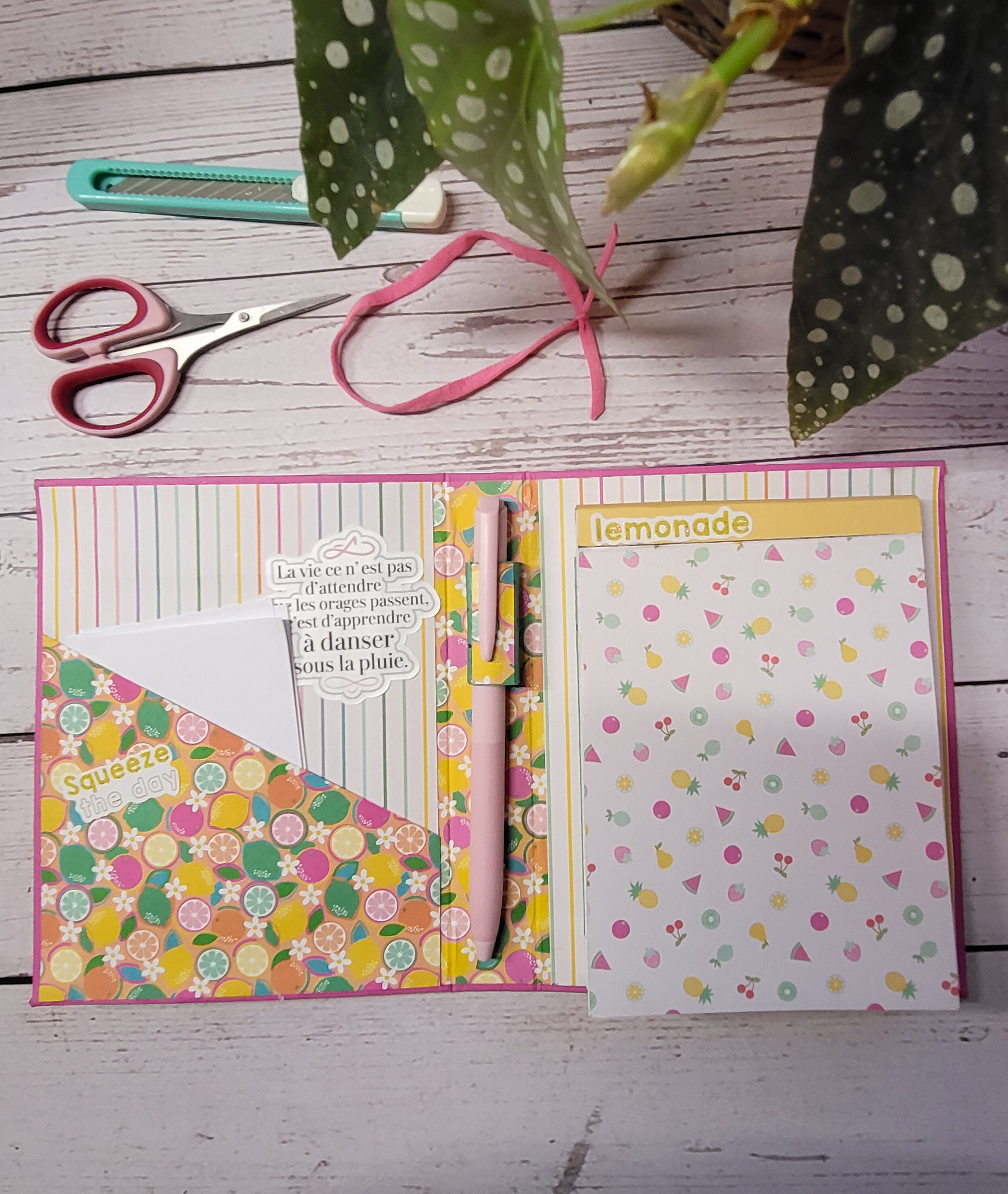 Carnet couleur vitamine