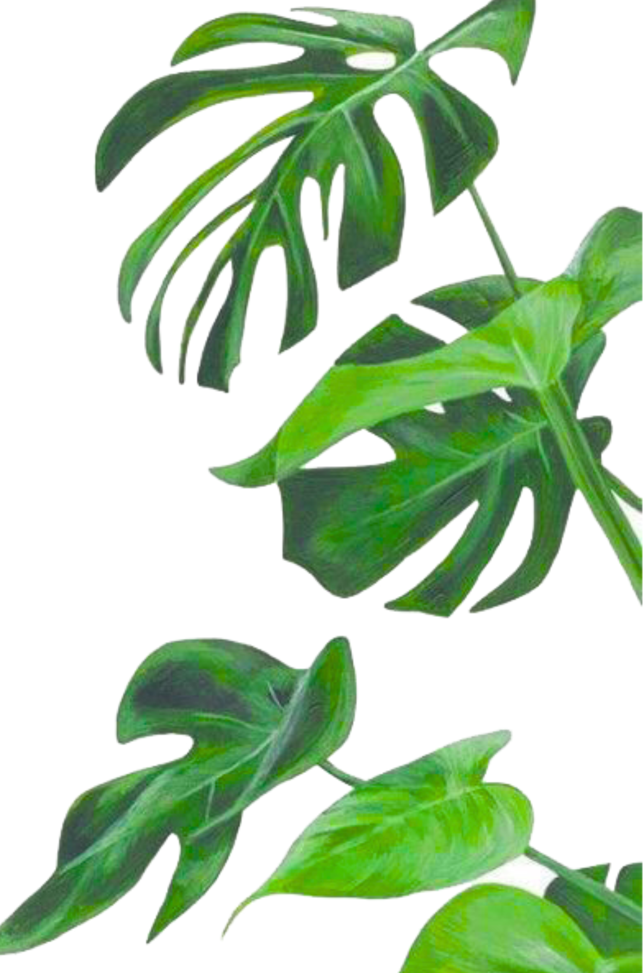 Serenity Pages: Youth Reflection Journal