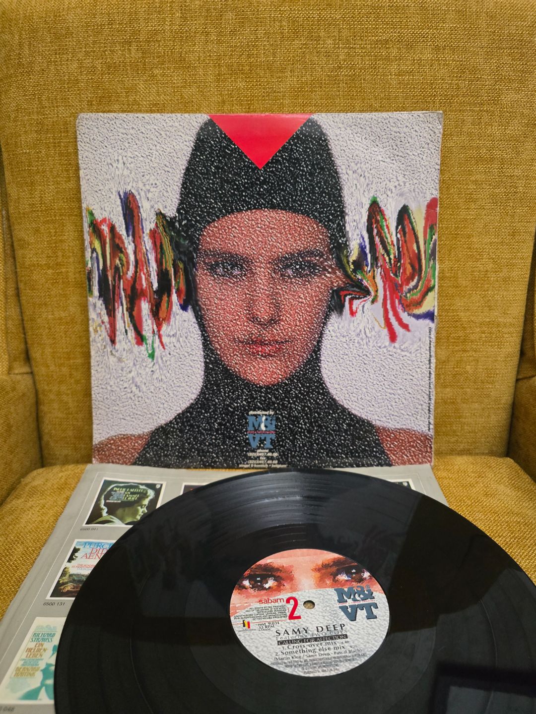 Samy Deep Two Boys Calling for Affection vinyl record 