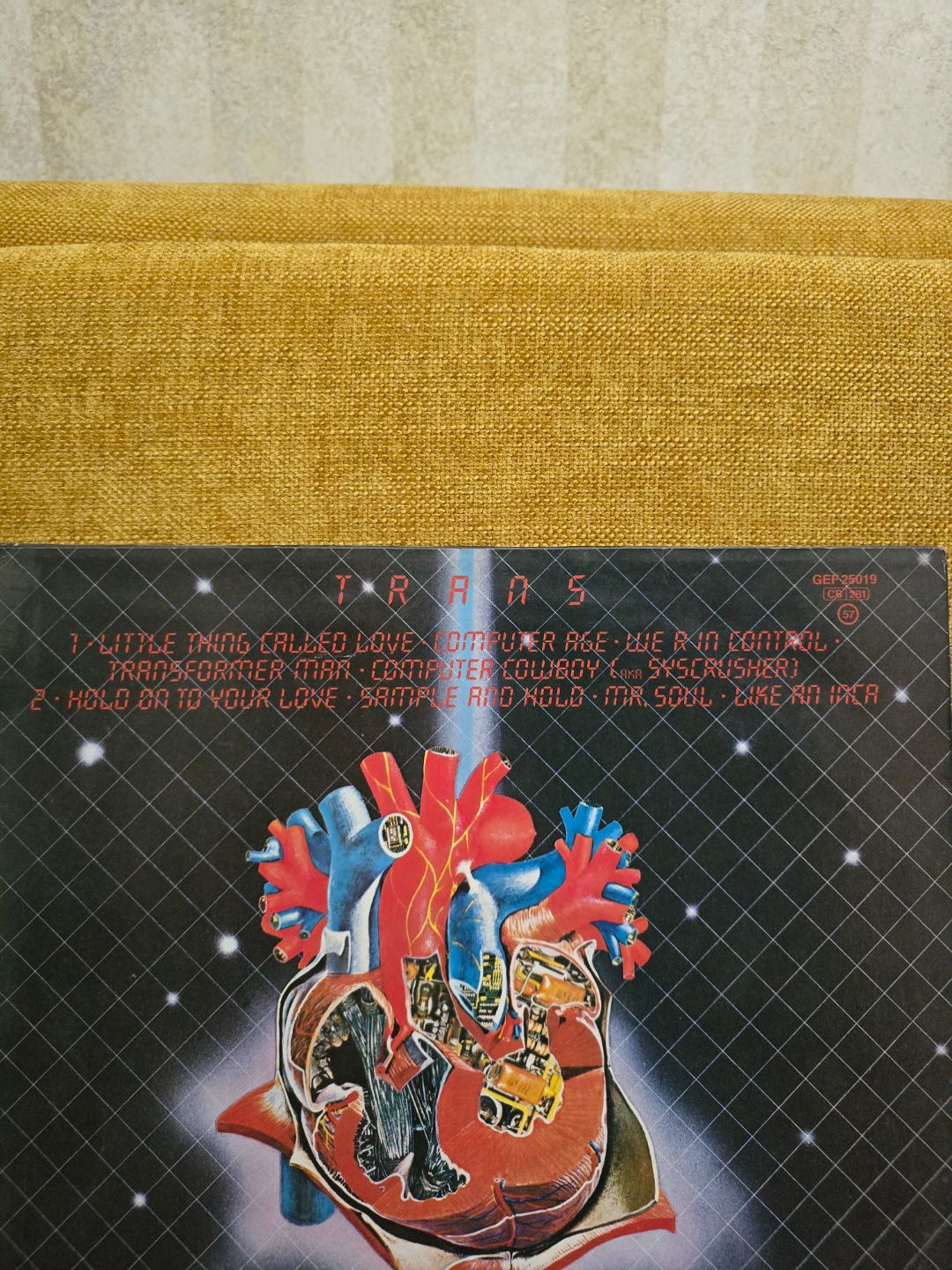 Neil Young Trans vinyl record 