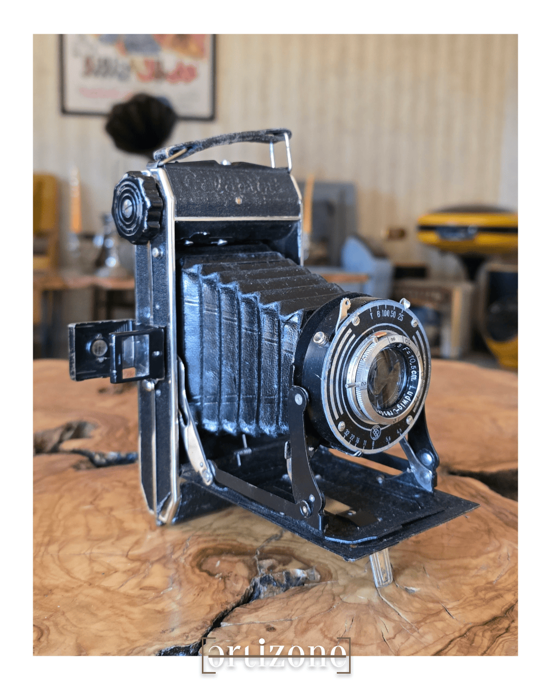 Vintage Folding Camera