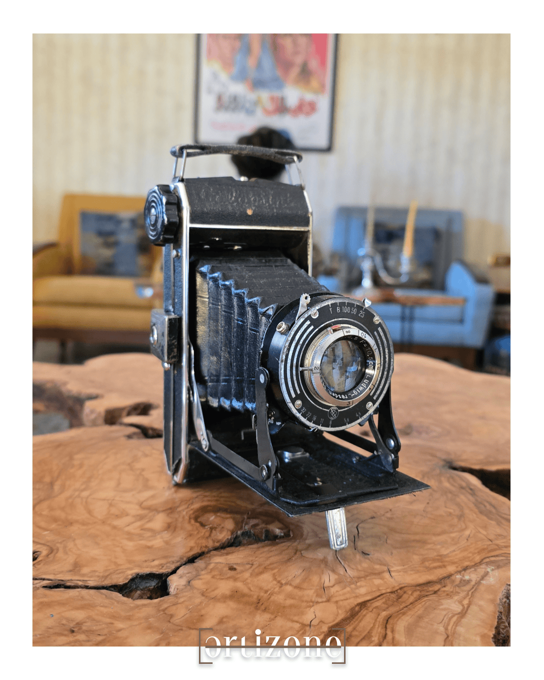 Vintage Folding Camera