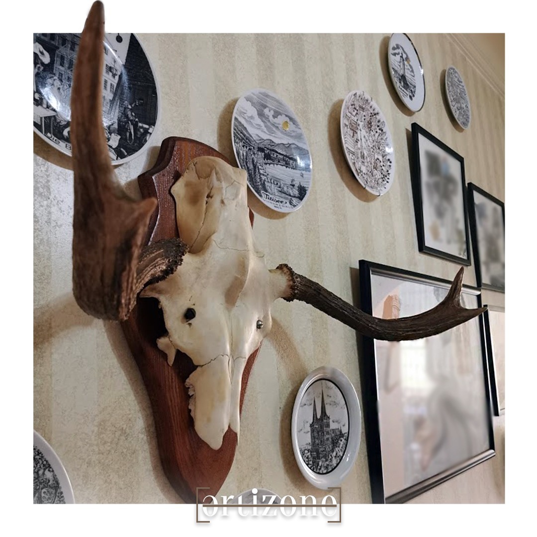 Decorative Wall Mount