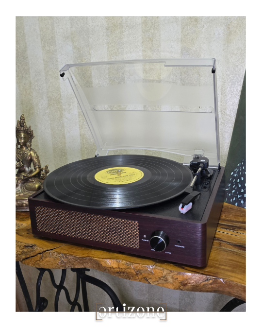 Turntable Record Player 