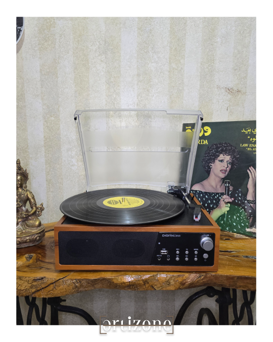 Turntable, vinyl record player