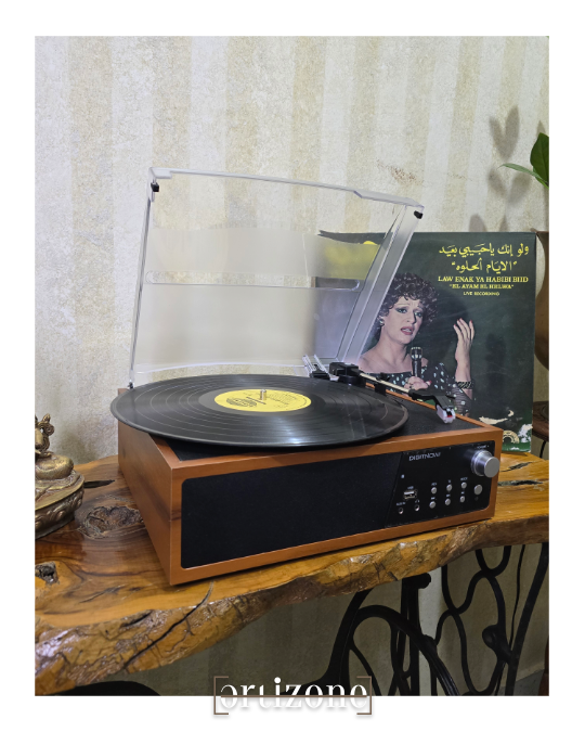 Turntable, vinyl record player 