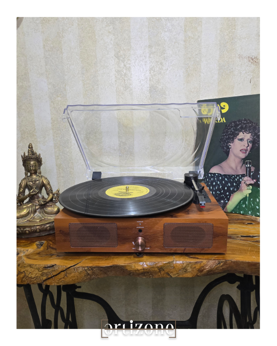 Turntable Record Player 