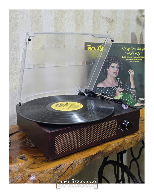 Turntable Record Player 
