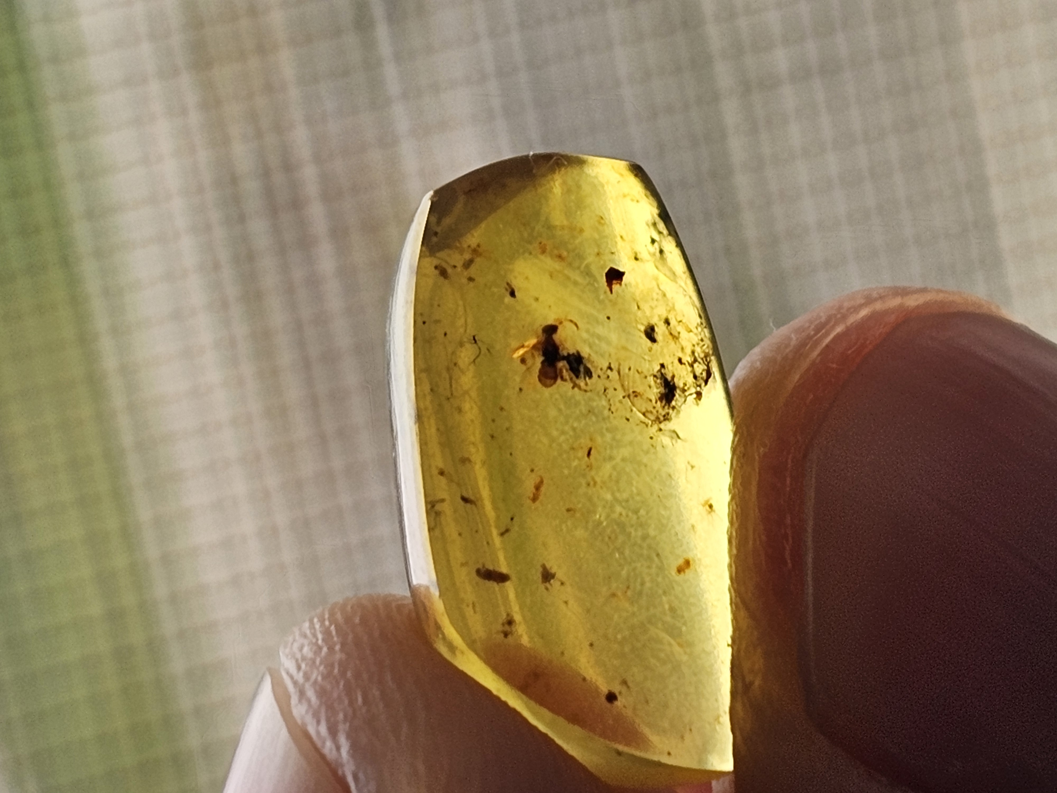 Baltic Cretaceous Amber (Bee) 