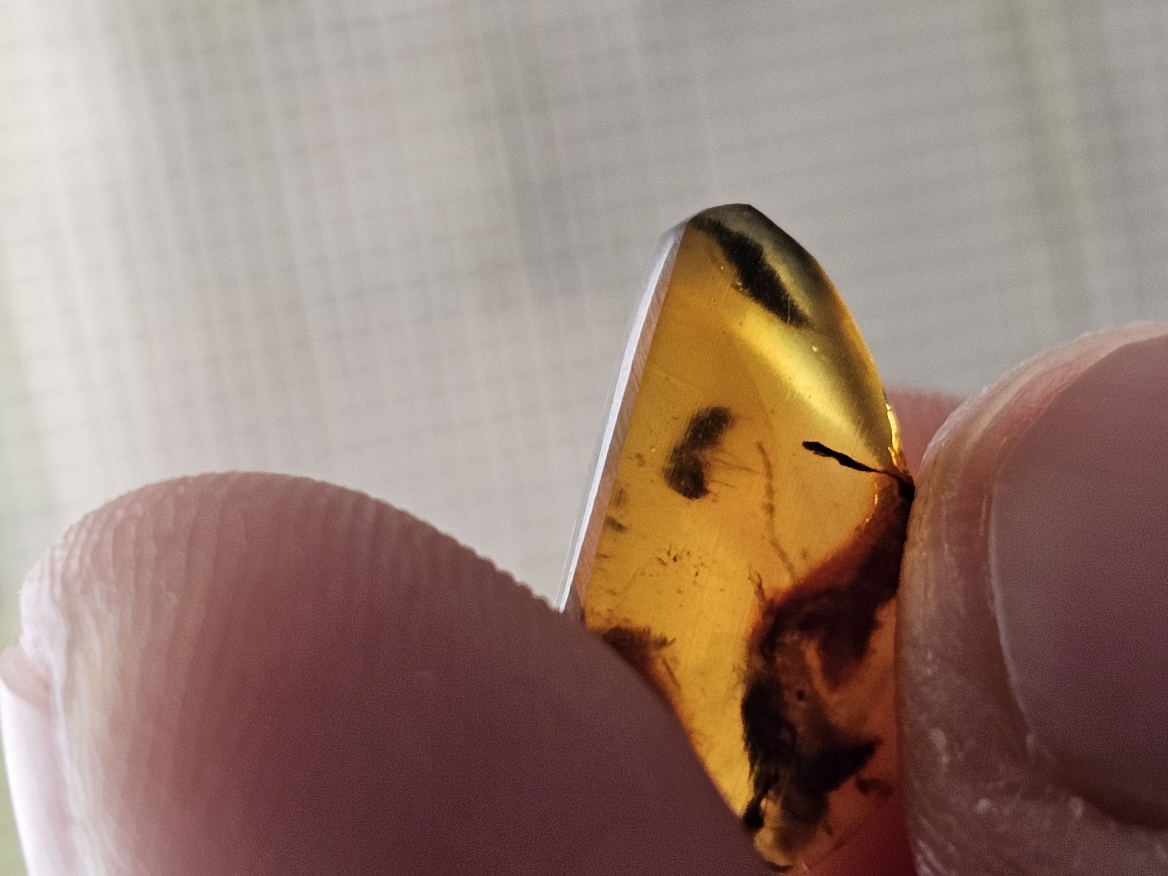 Baltic Cretaceous Amber (Bee)