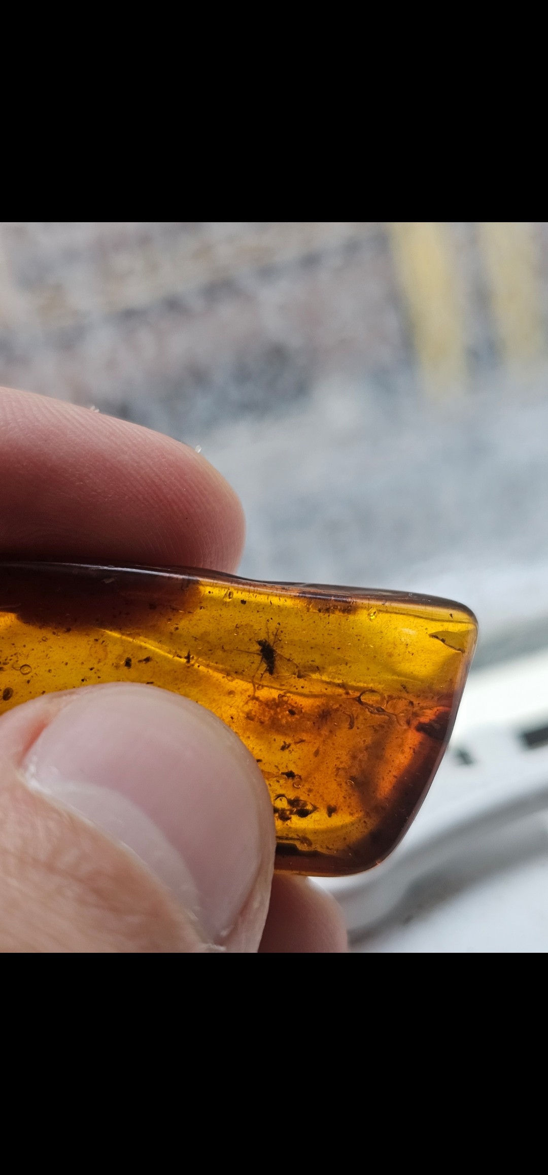 Baltic Amber (Fly)