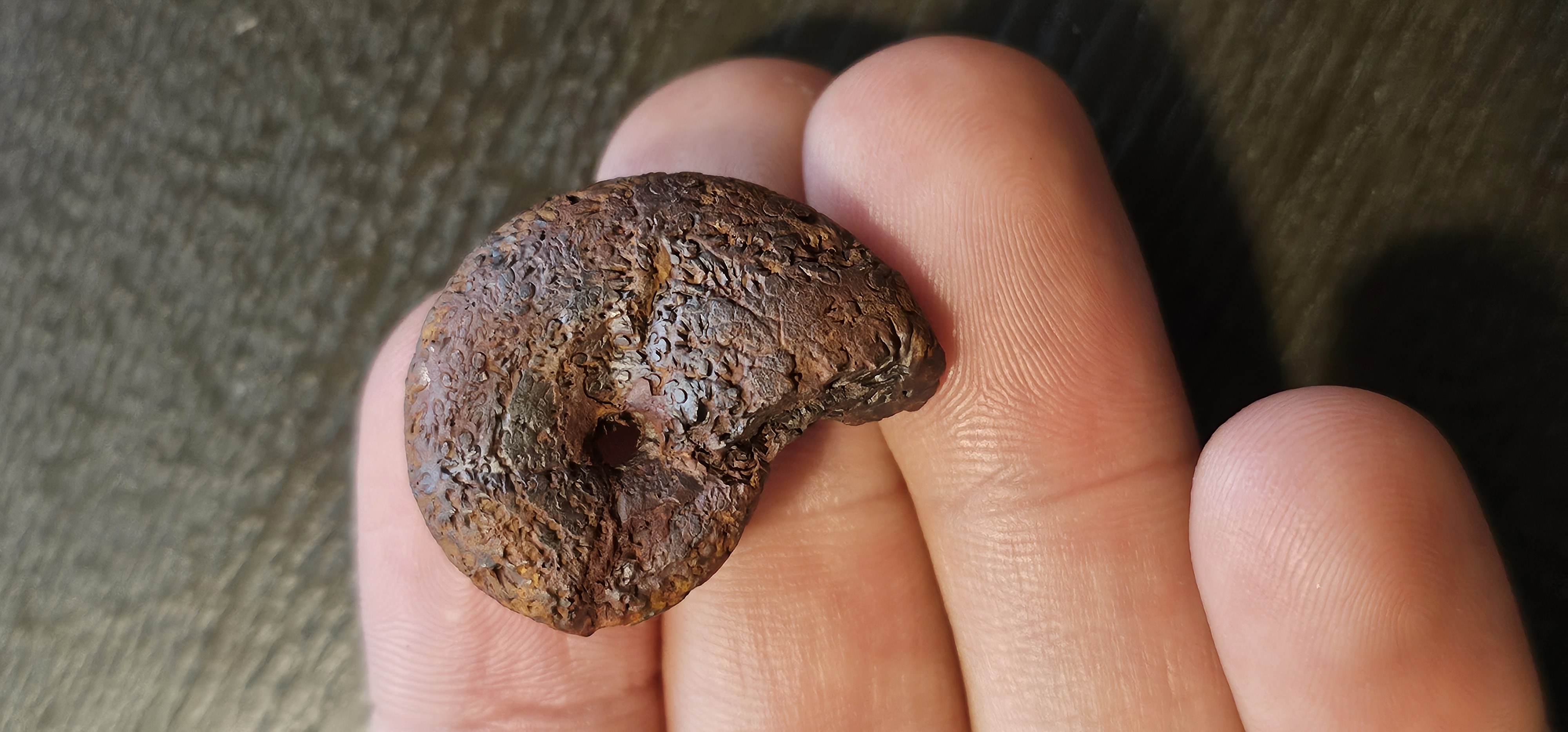 Hematite Ammonite (Morocco)