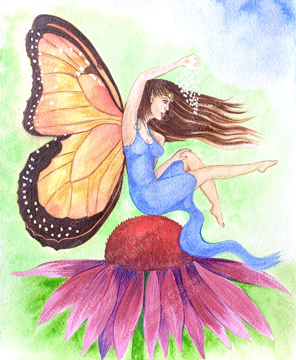 The Echinacea Fairy