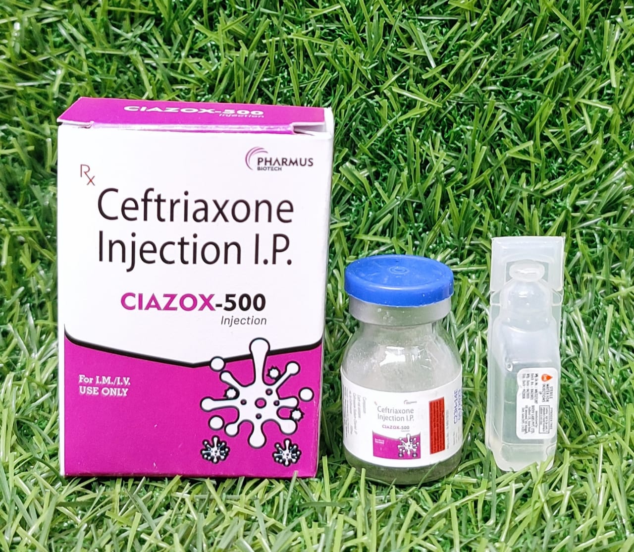 Ceftriaxone Injection I.P. (CIAXOZ-500)