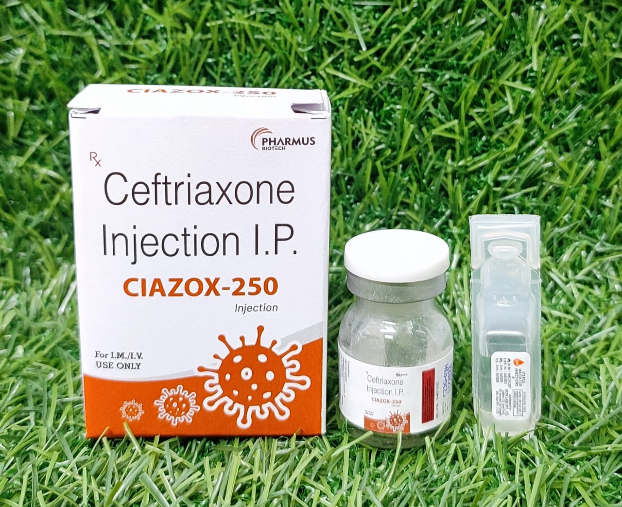 Ceftriaxone Injection I.P. (CIAXOZ-250)