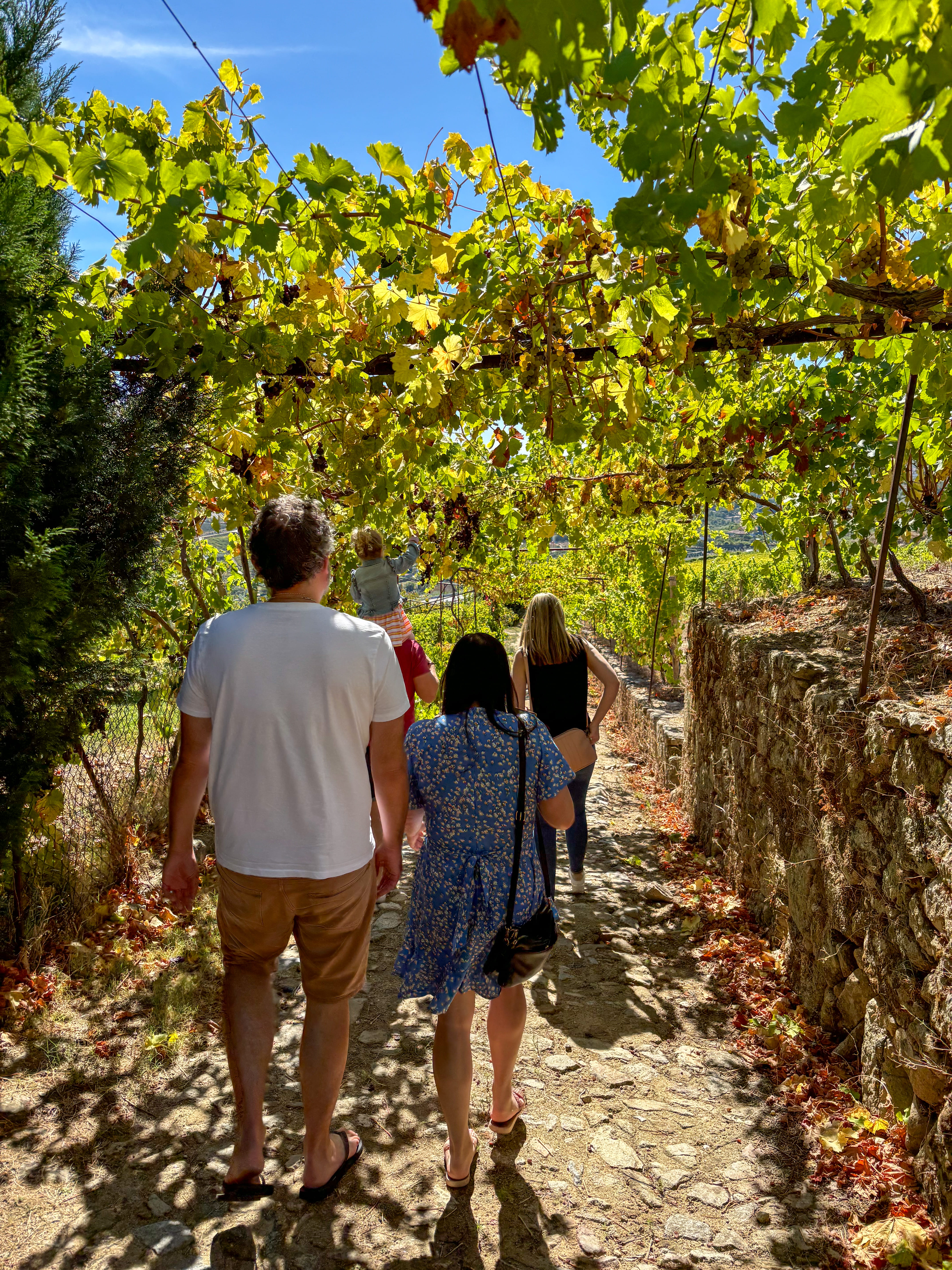 Douro Reserve Tour