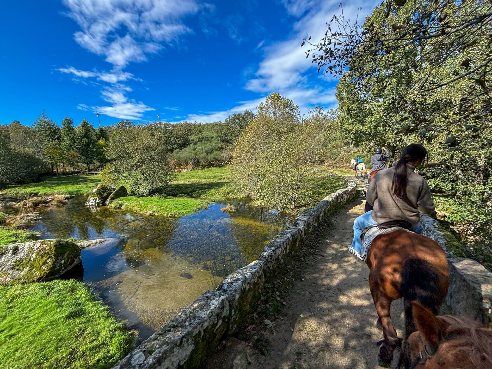 Horseback Riding Tour in the Douro