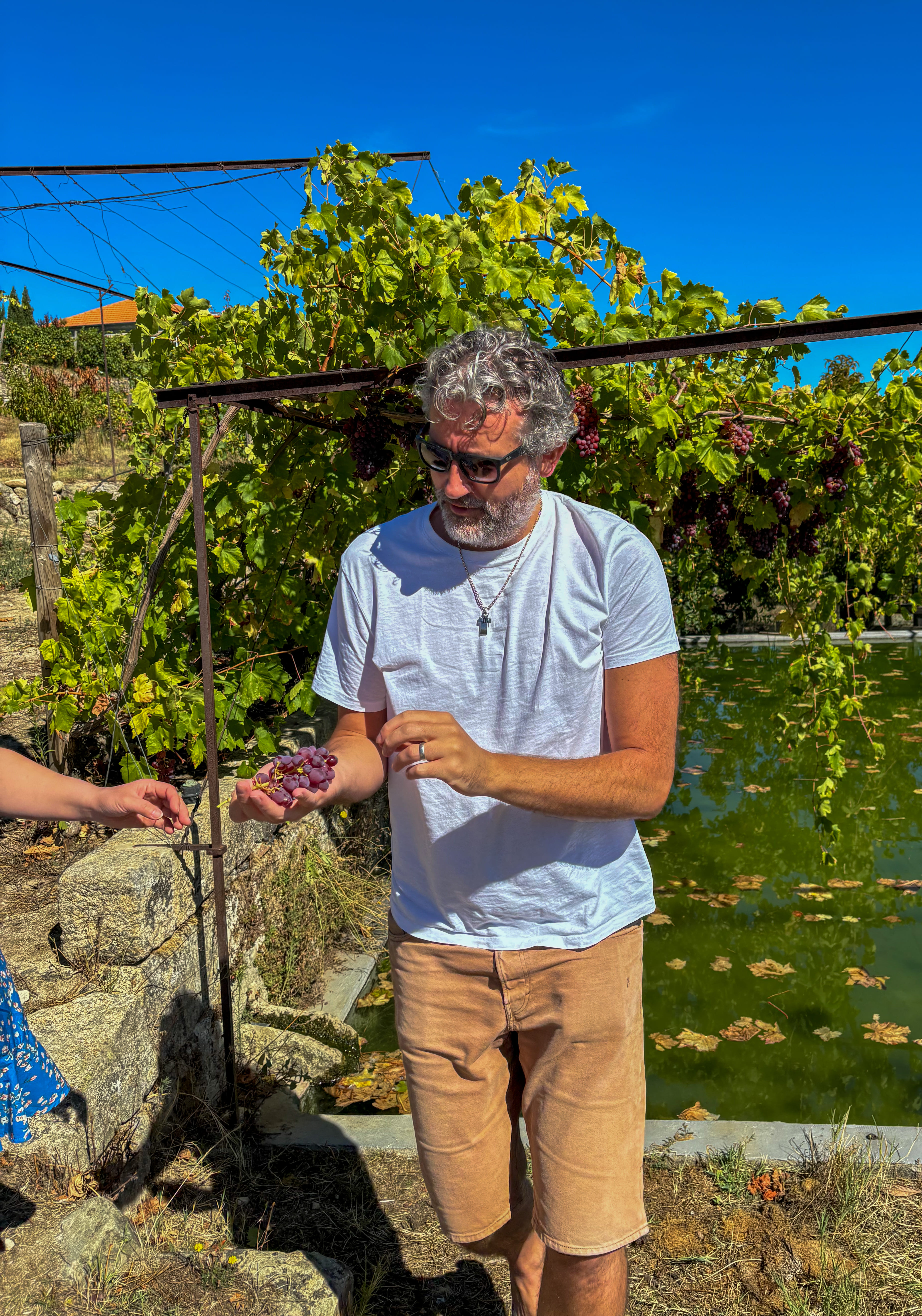 1 dia no Vale do Douro 