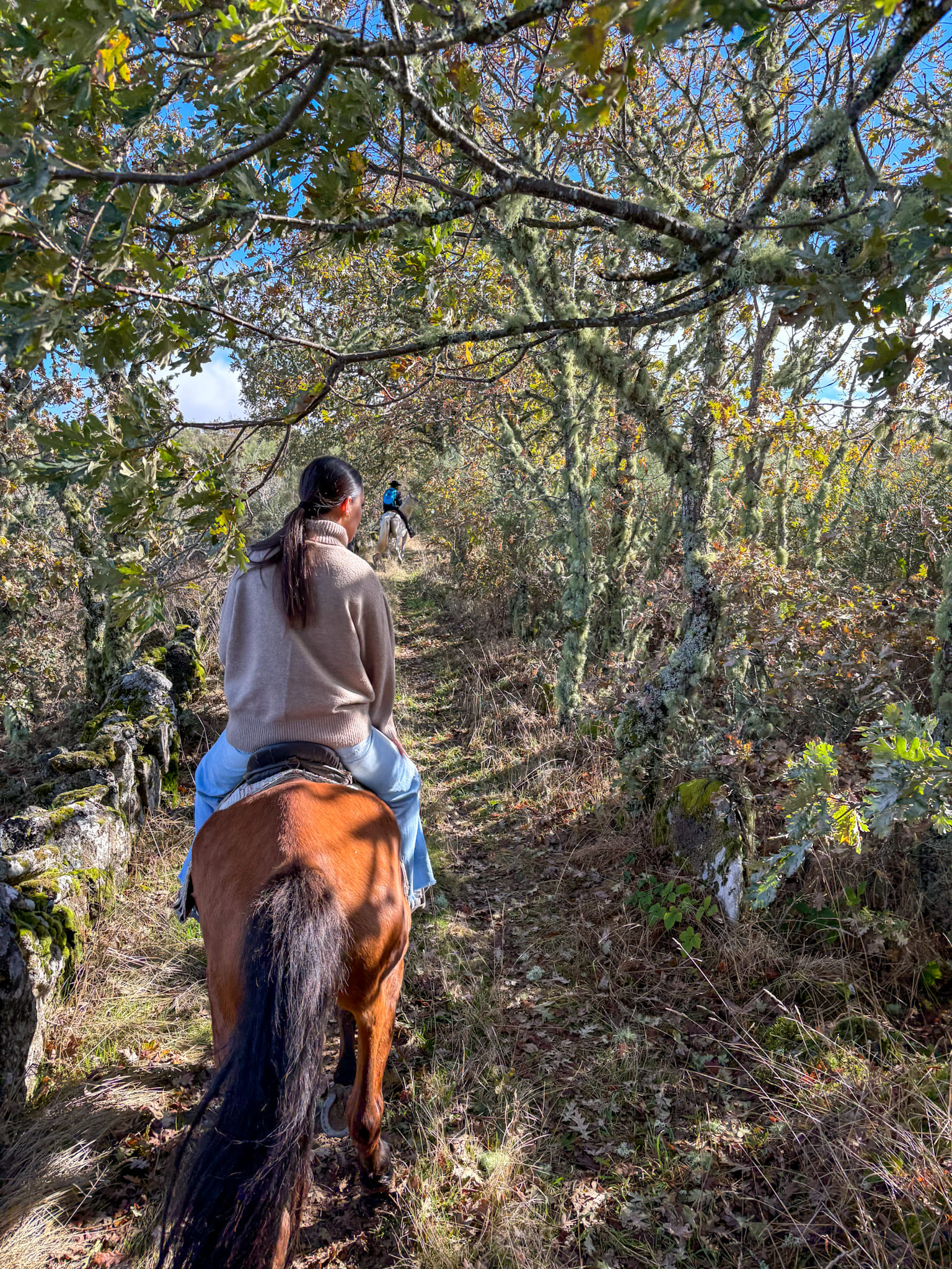 Passeio a Cavalo no Douro