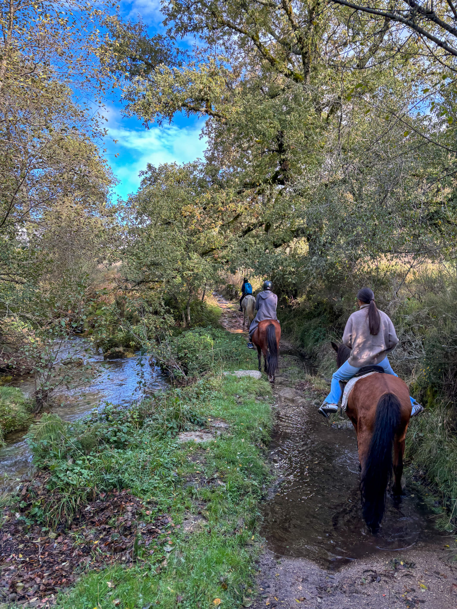 Excursion à cheval dans le Douro