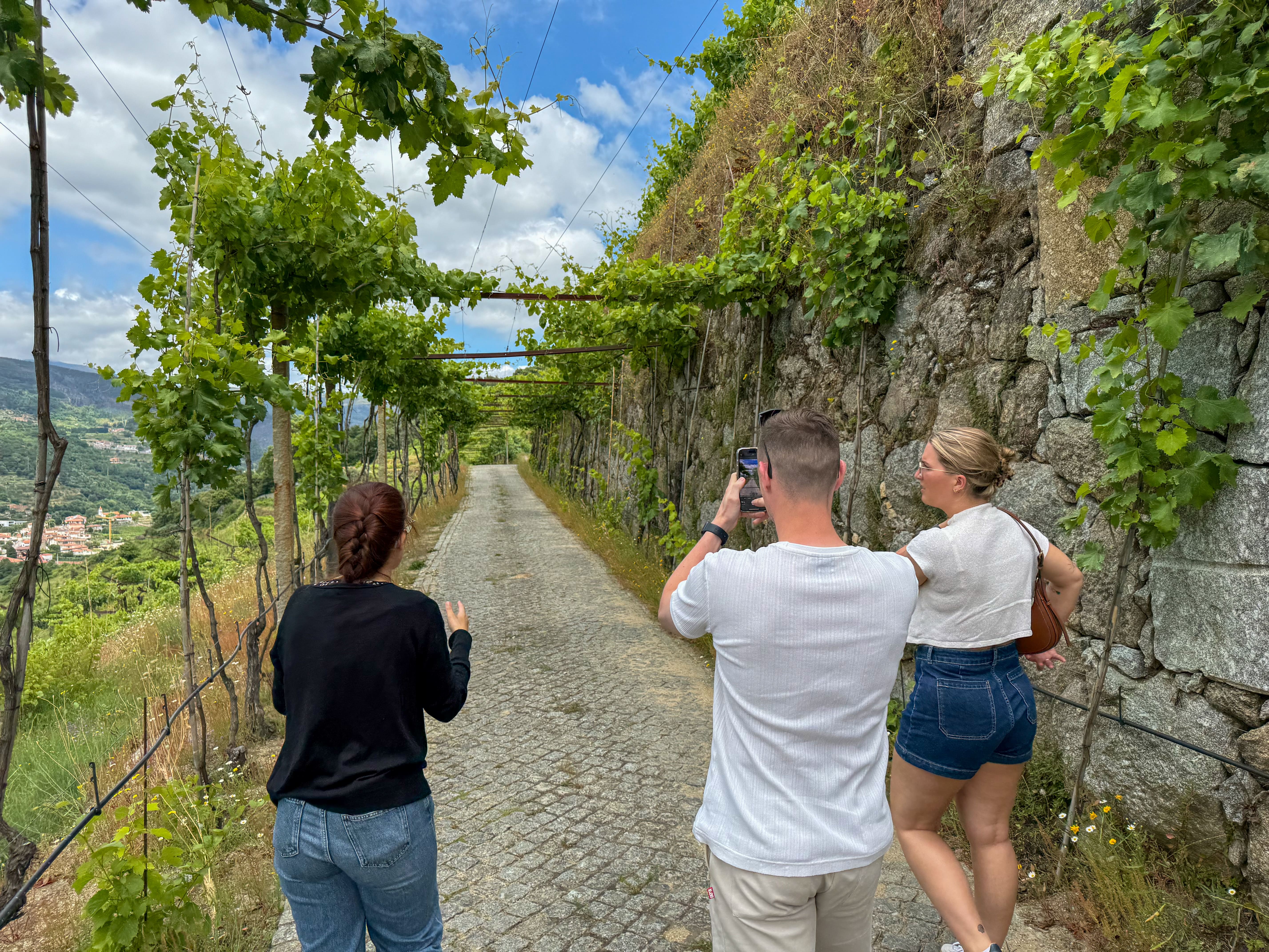 Safari 4x4 no Vale do Douro