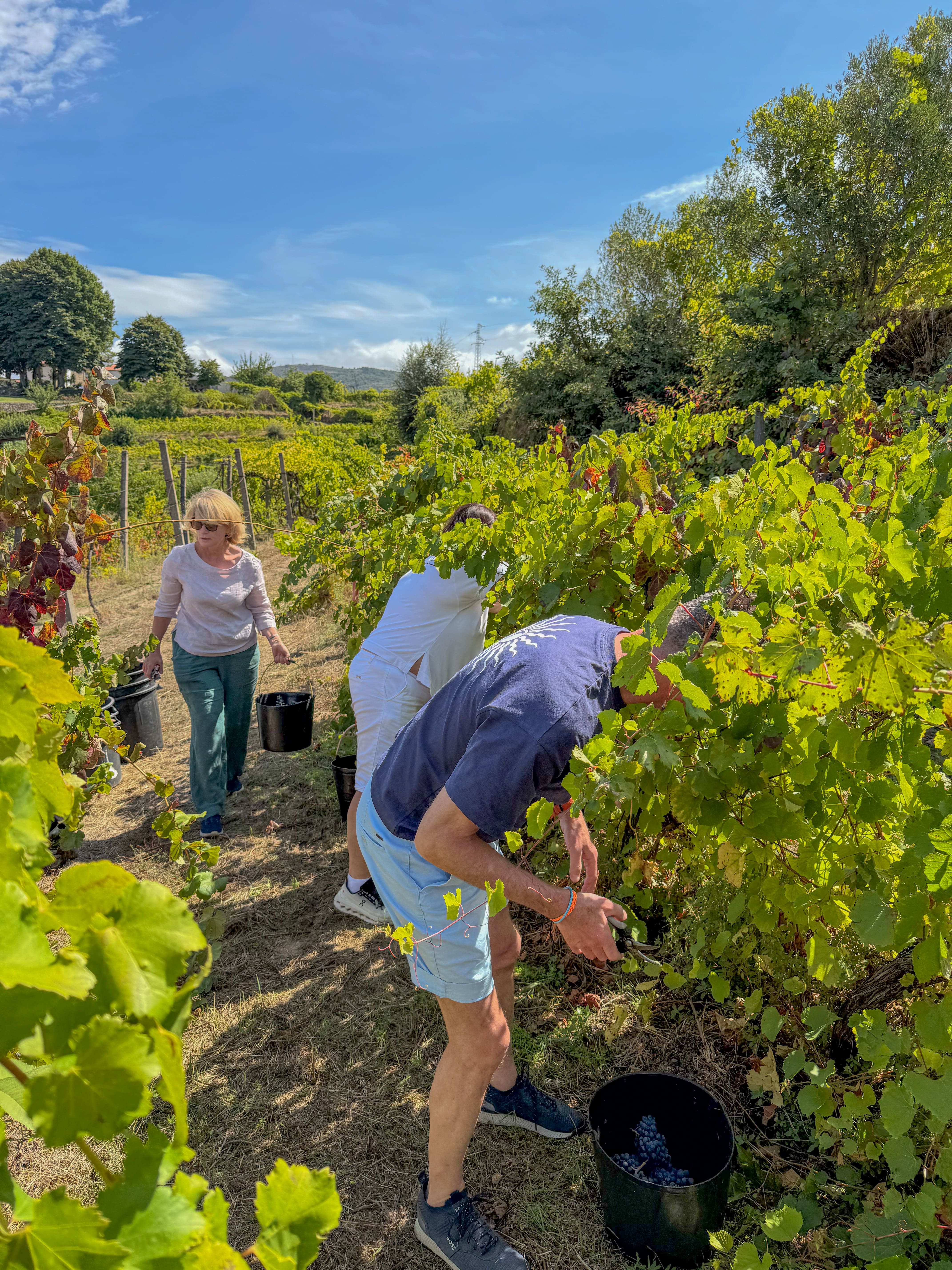 Safari 4x4 no Vale do Douro