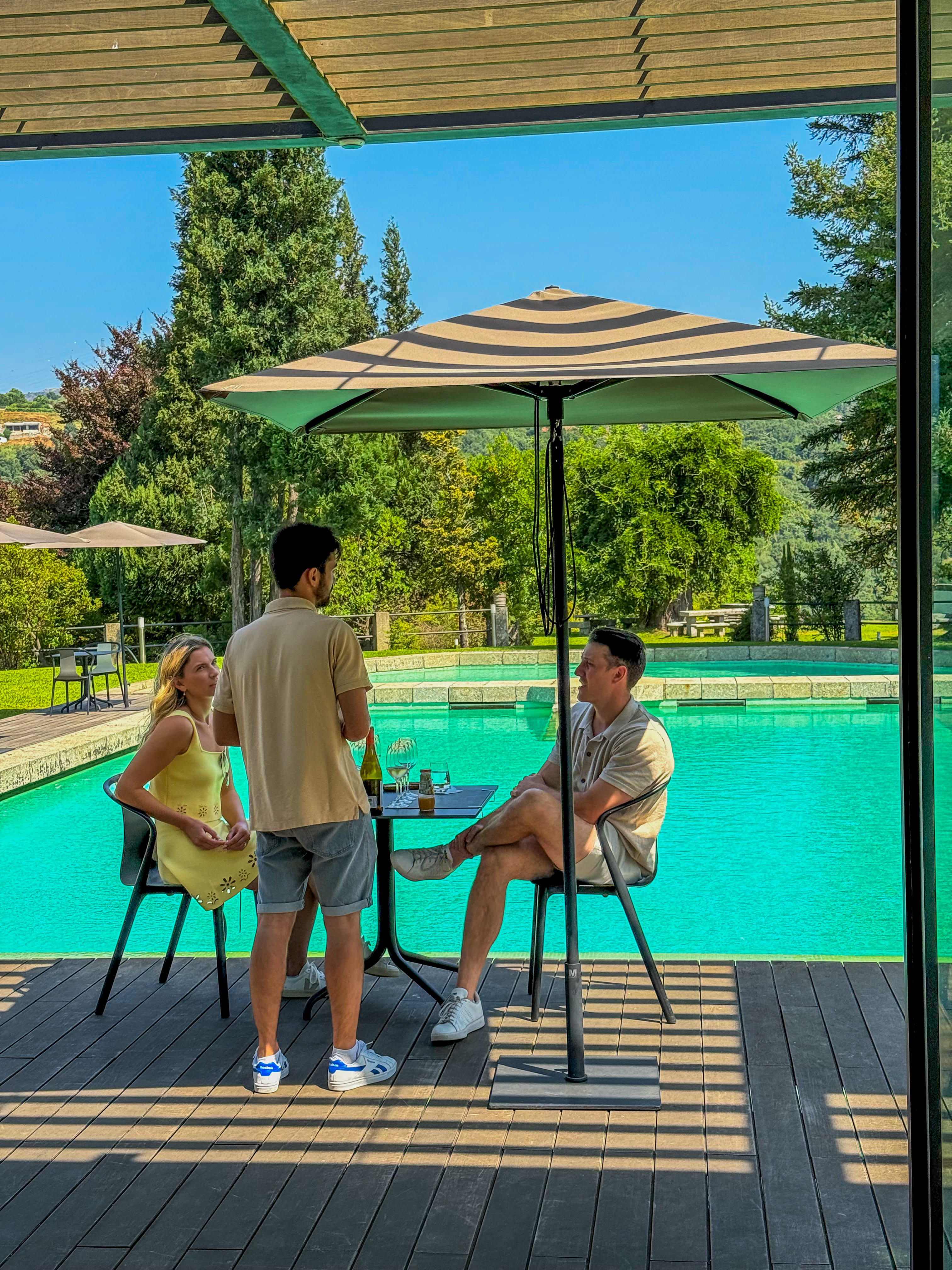 1 Jour dans la Vallée du Douro : Gastronomie, Vin & Bateau