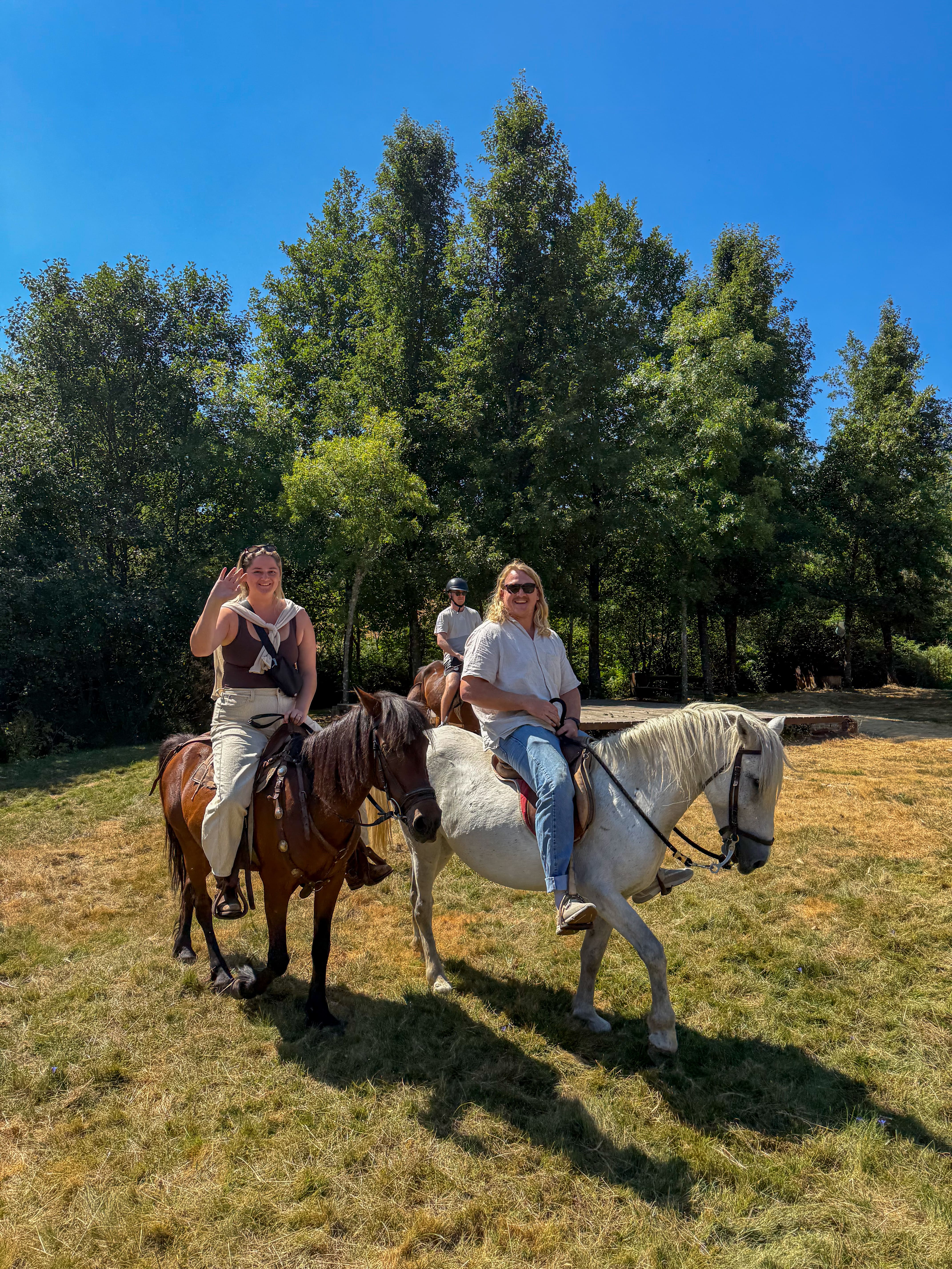 Horseback Riding Tour in the Douro