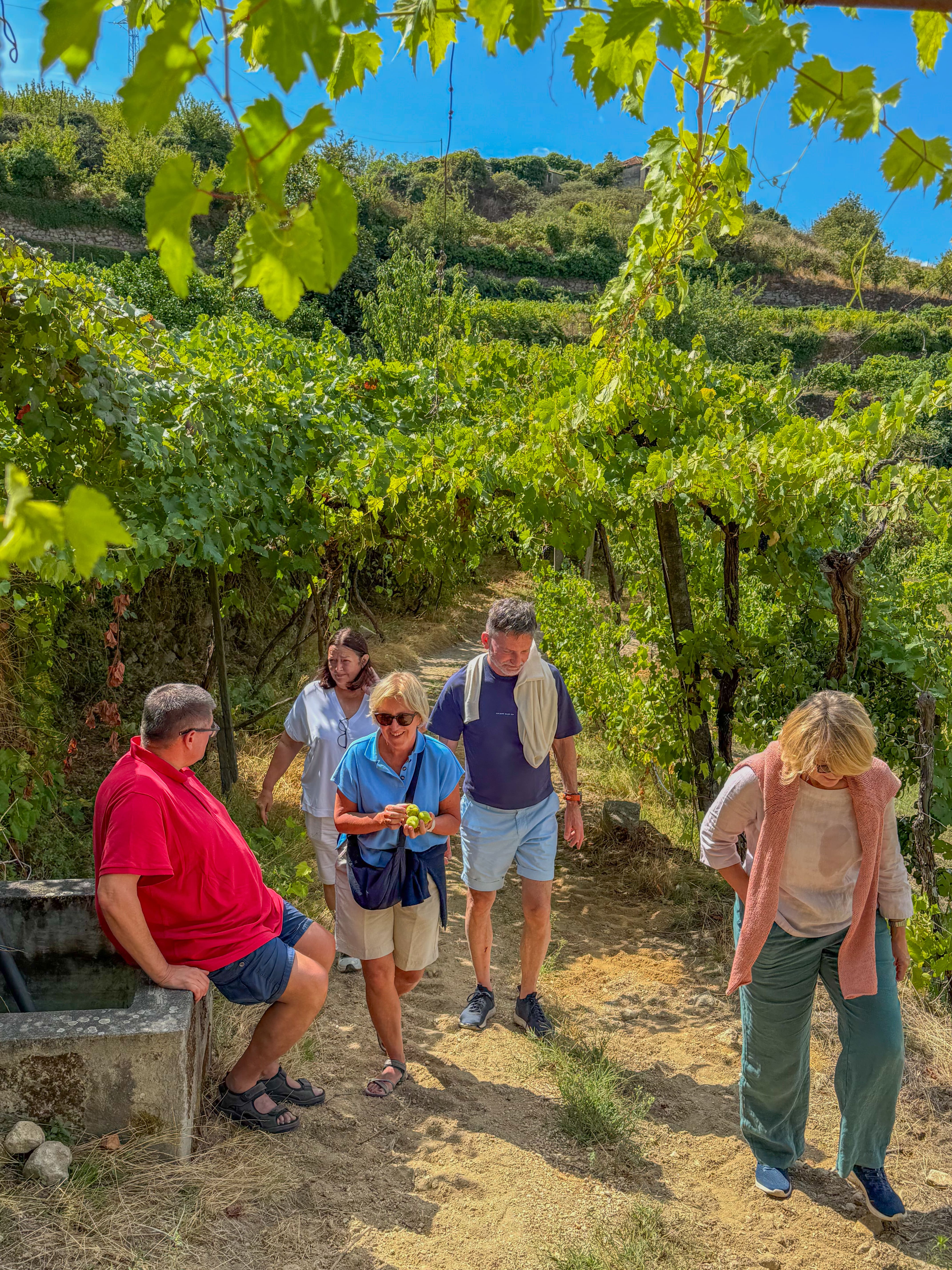 1 Jour dans la Vallée du Douro : Gastronomie, Vin & Bateau