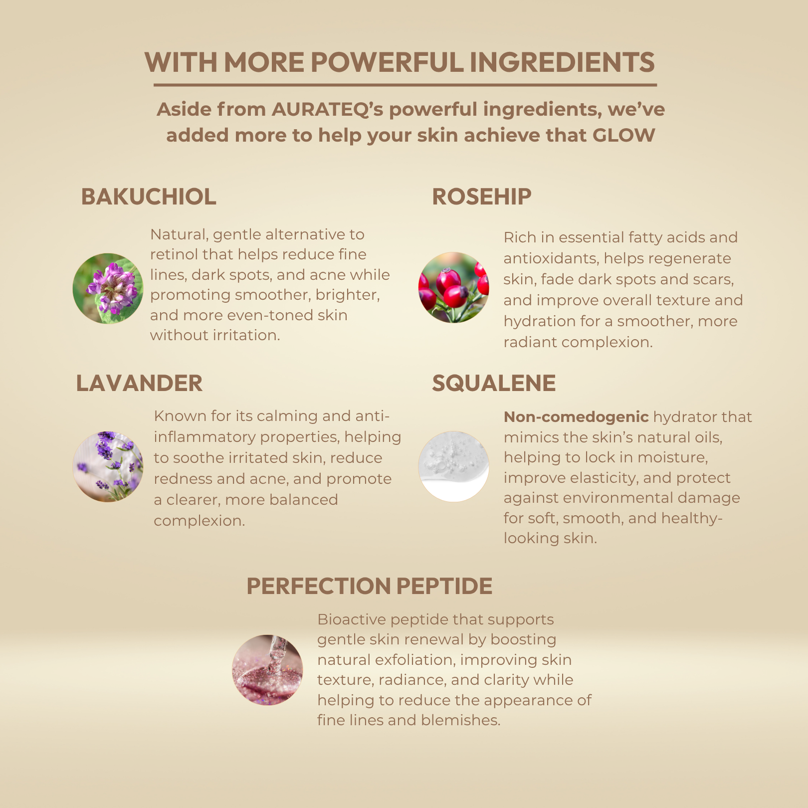 All United Awesome Skin Twosome Double Serum - Anti-Aging and Strengthening Skin Barrier Face Cream & Face Oil - 50ml