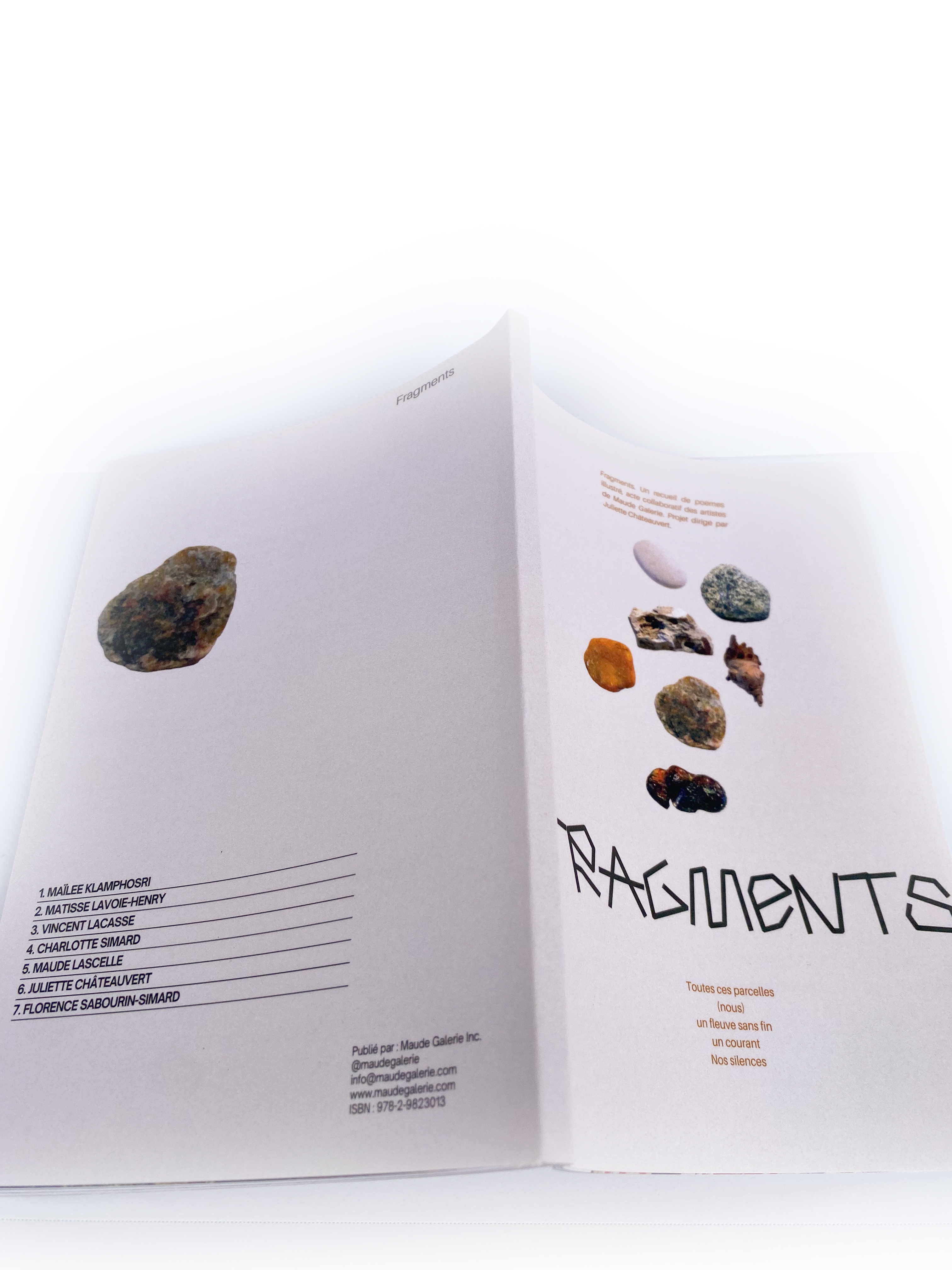 Fragments - Un recueil de poèmes illustré