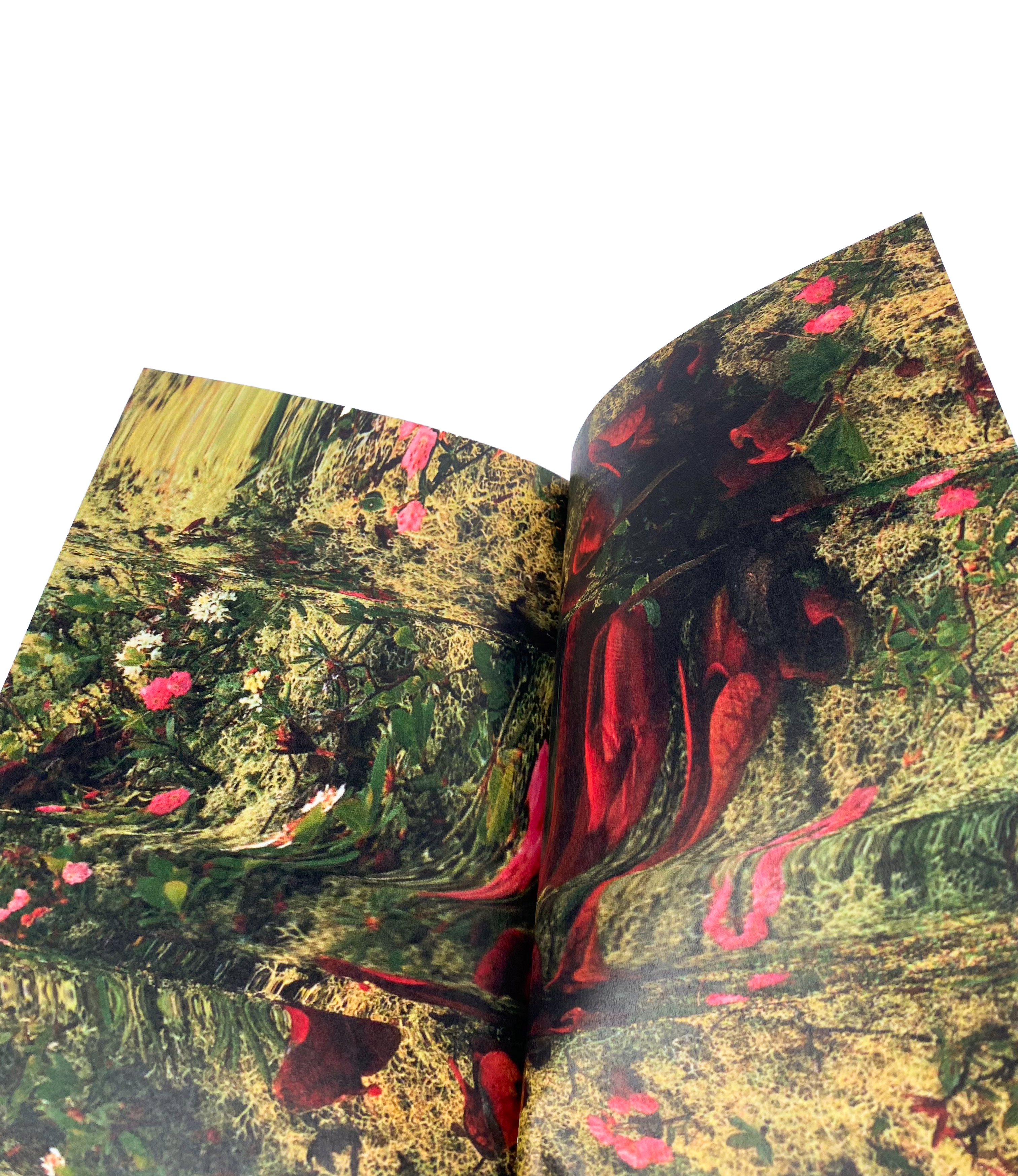 Fragments - Un recueil de poèmes illustré