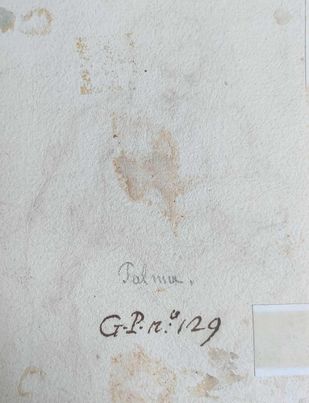 PALMA GIOVANE 1544-1628