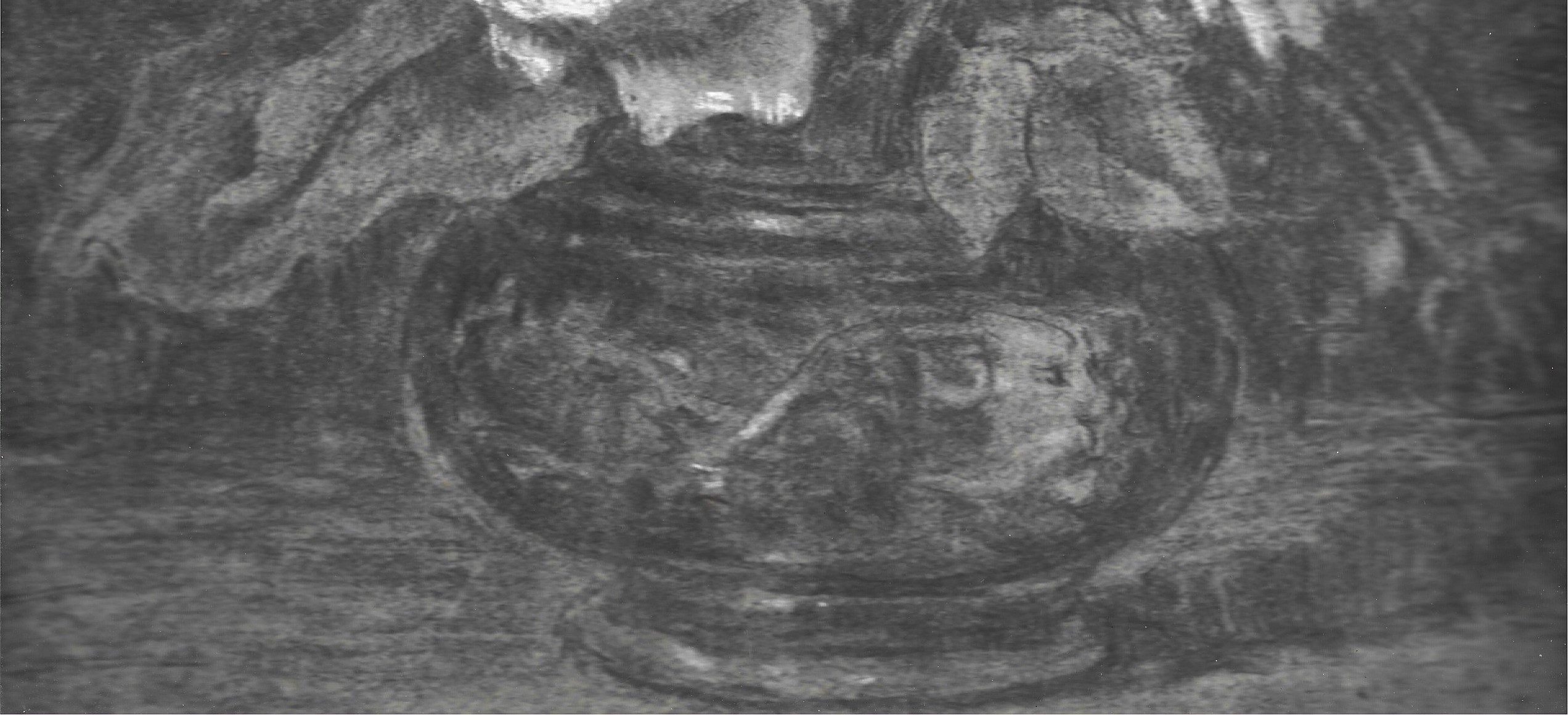 BOUQUET DE FLEURS XIXe école de Barbizon