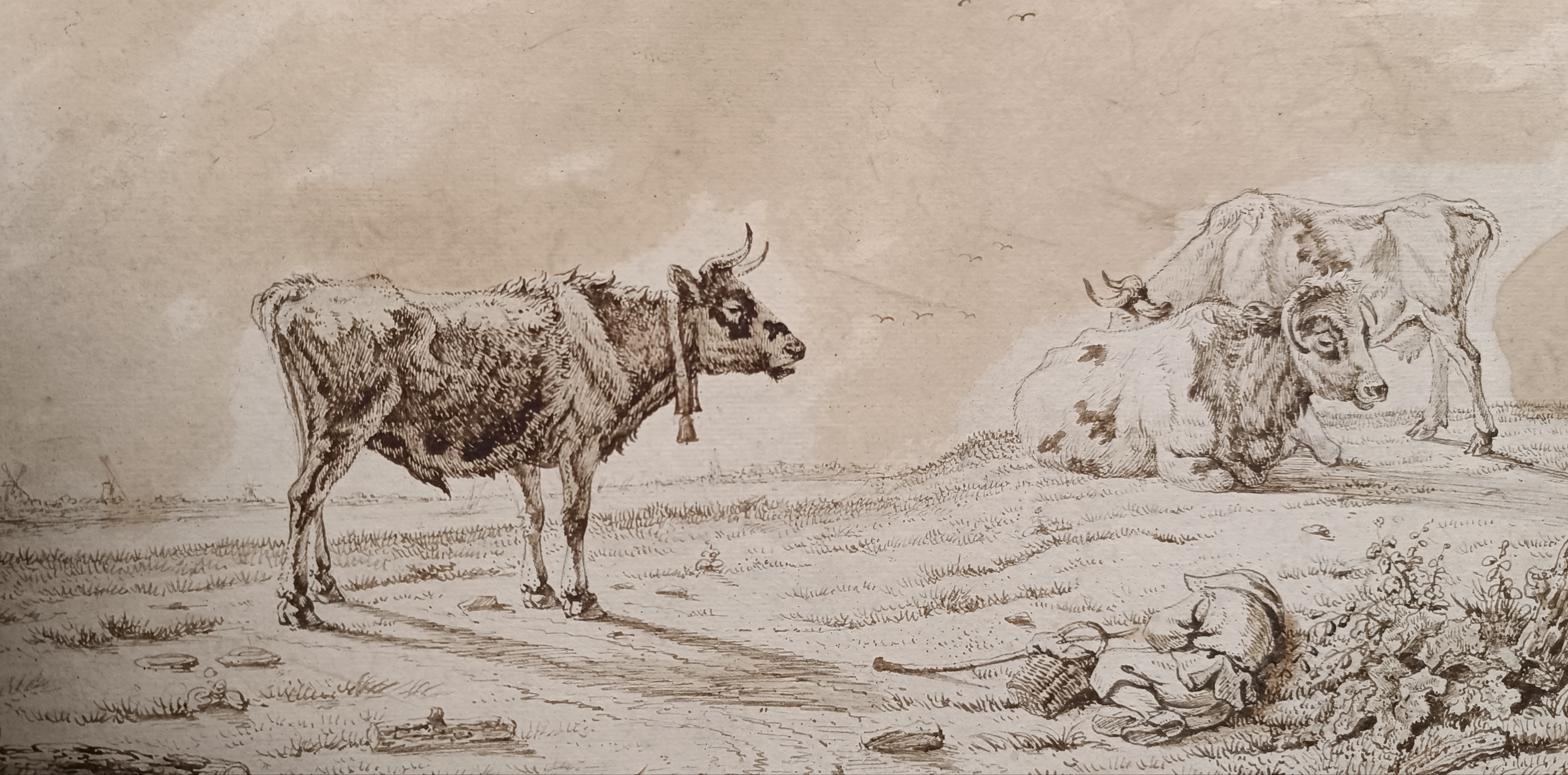 PAULUS POTTER 1625-1654