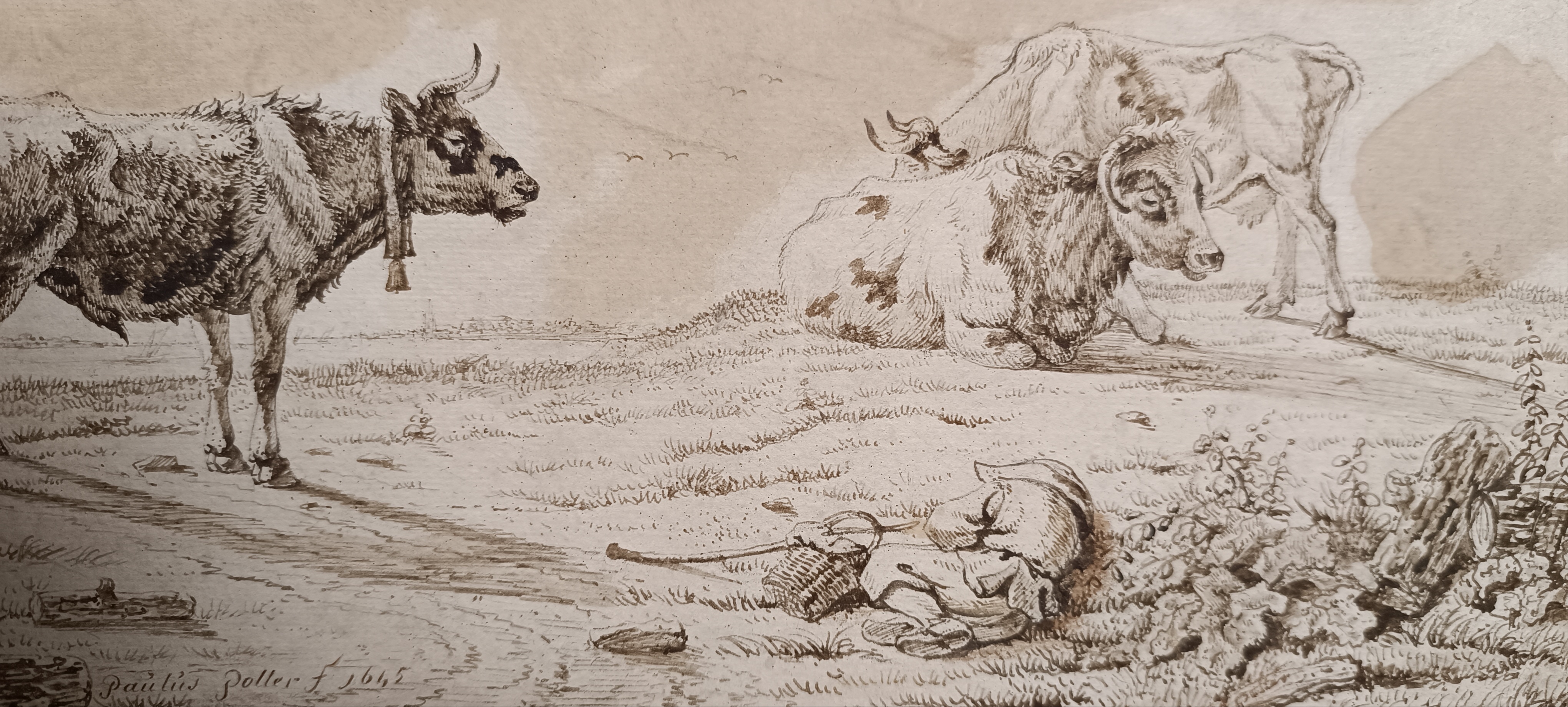 PAULUS POTTER 1625-1654