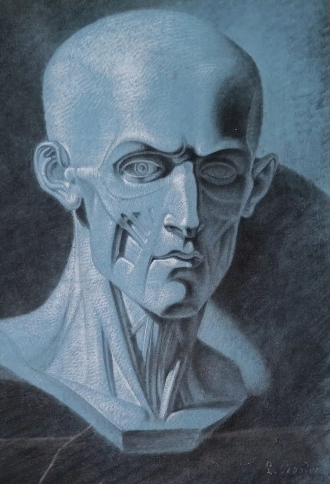 ECOLE FRANCAISE DU XIXe- écorché anatomie du visage
