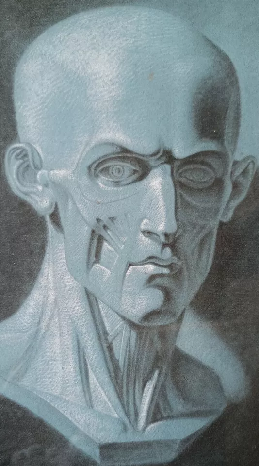 ECOLE FRANCAISE DU XIXe- écorché anatomie du visage