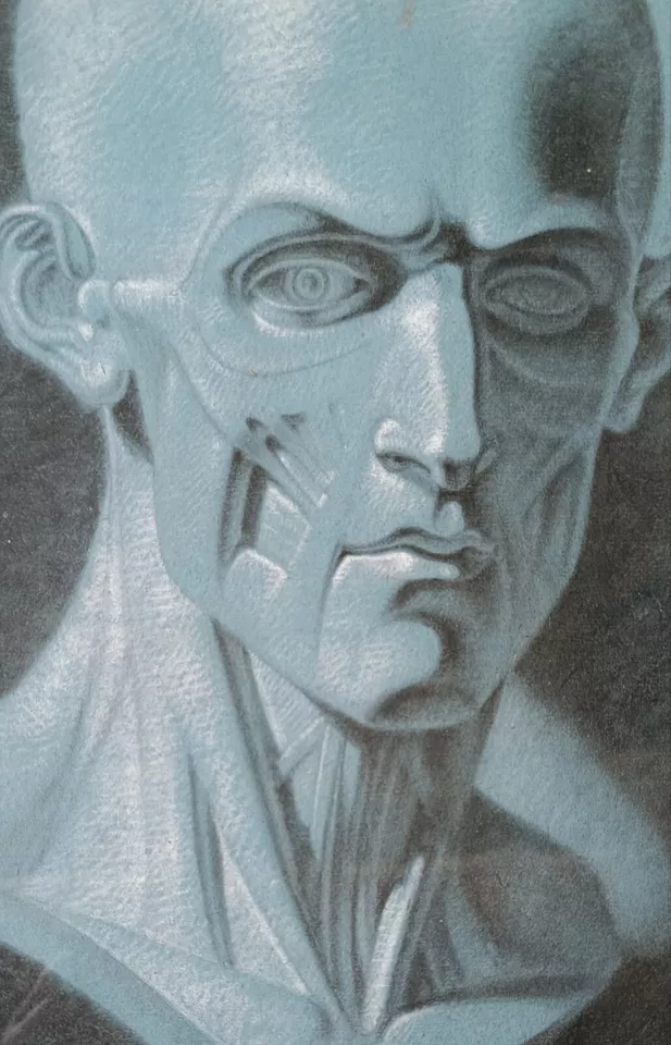 ECOLE FRANCAISE DU XIXe- écorché anatomie du visage