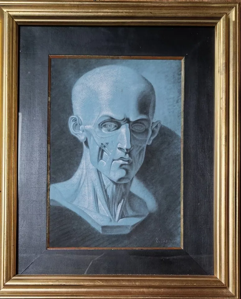 ECOLE FRANCAISE DU XIXe- écorché anatomie du visage