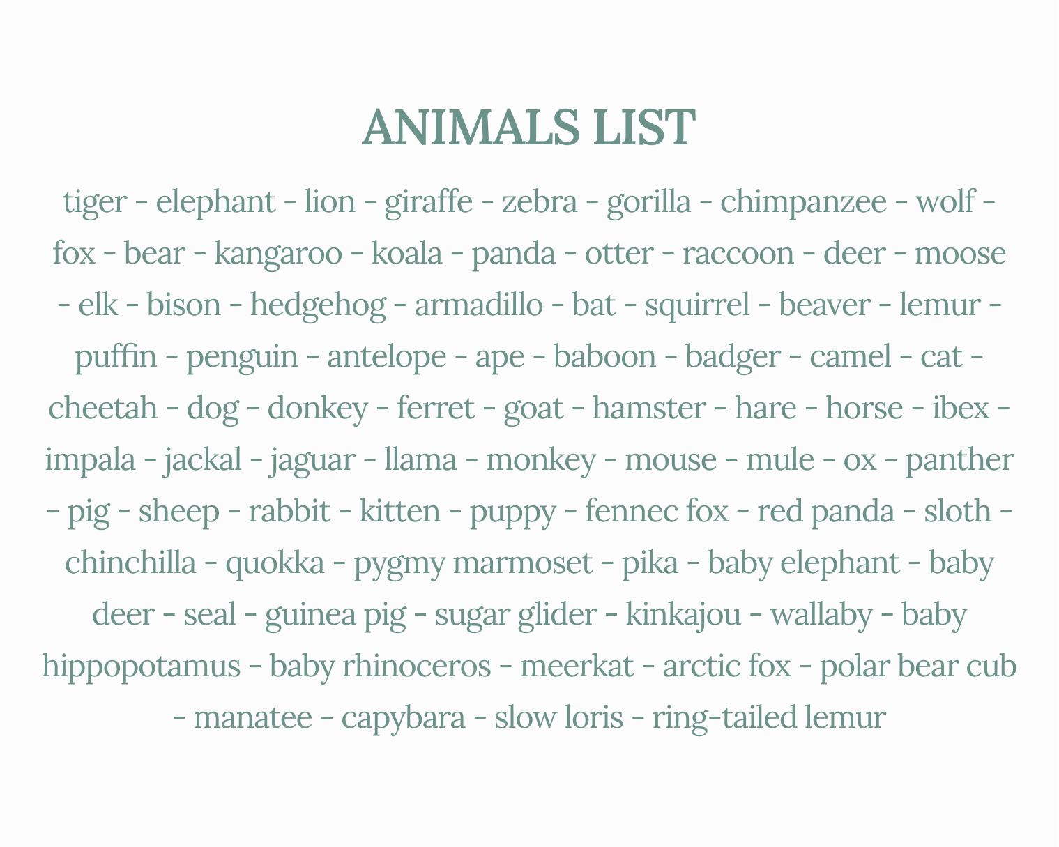 Cute Animals in Vehicles Bundle