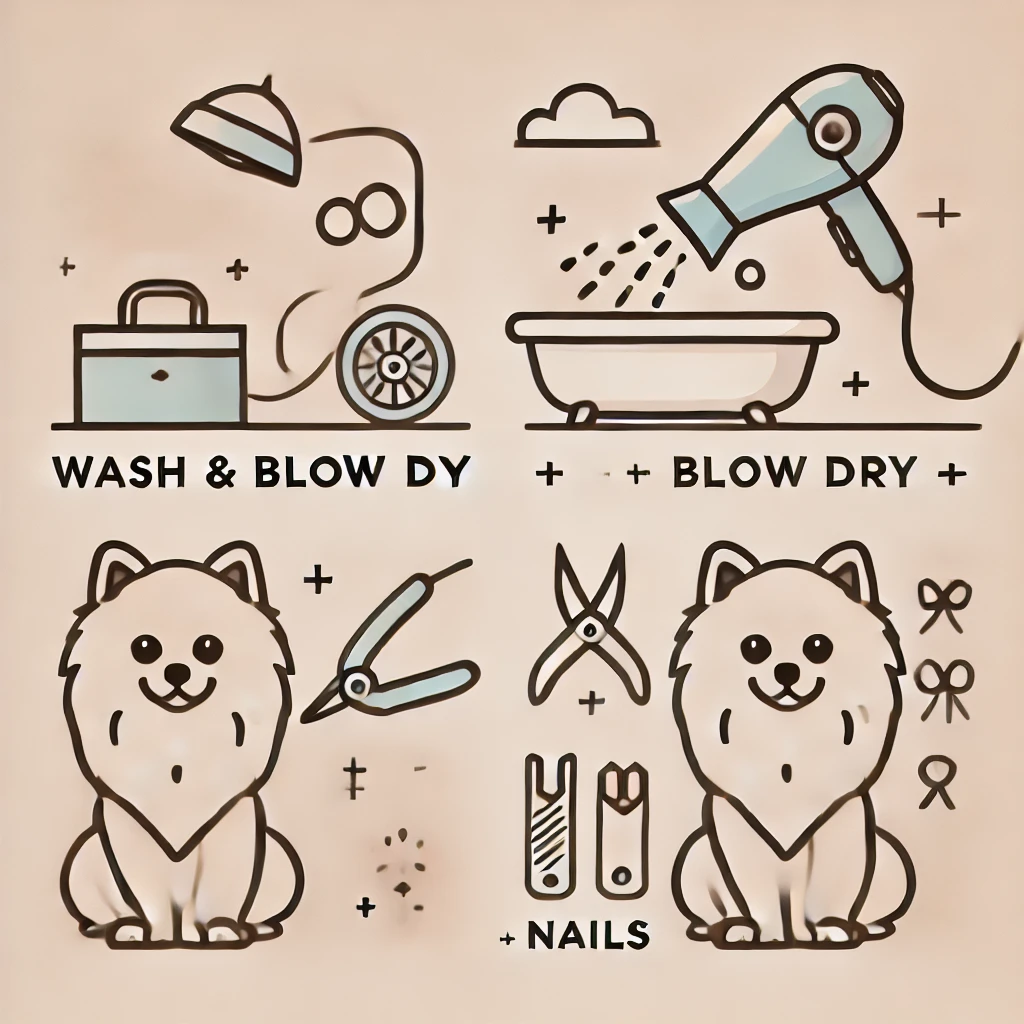 Wash & Dry + Nails (Small Dog) (Long Coat)
