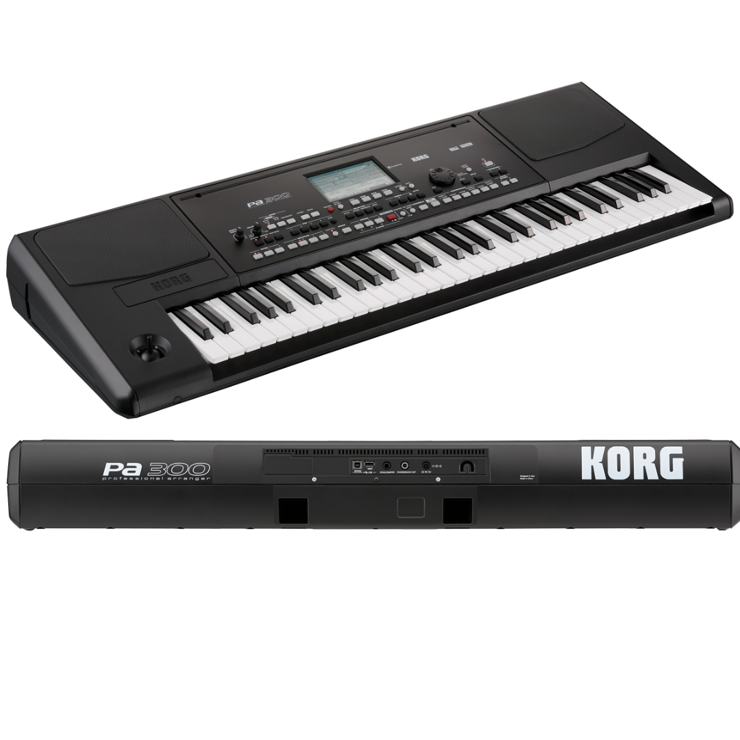 Korg Pa300 Professional Arranger Keyboard (display unit)