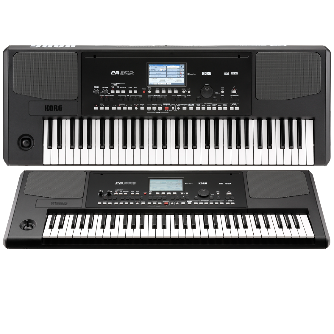 Korg Pa300 Professional Arranger Keyboard (display unit)